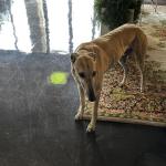 2023OTRA_427 (May 04, 2023)